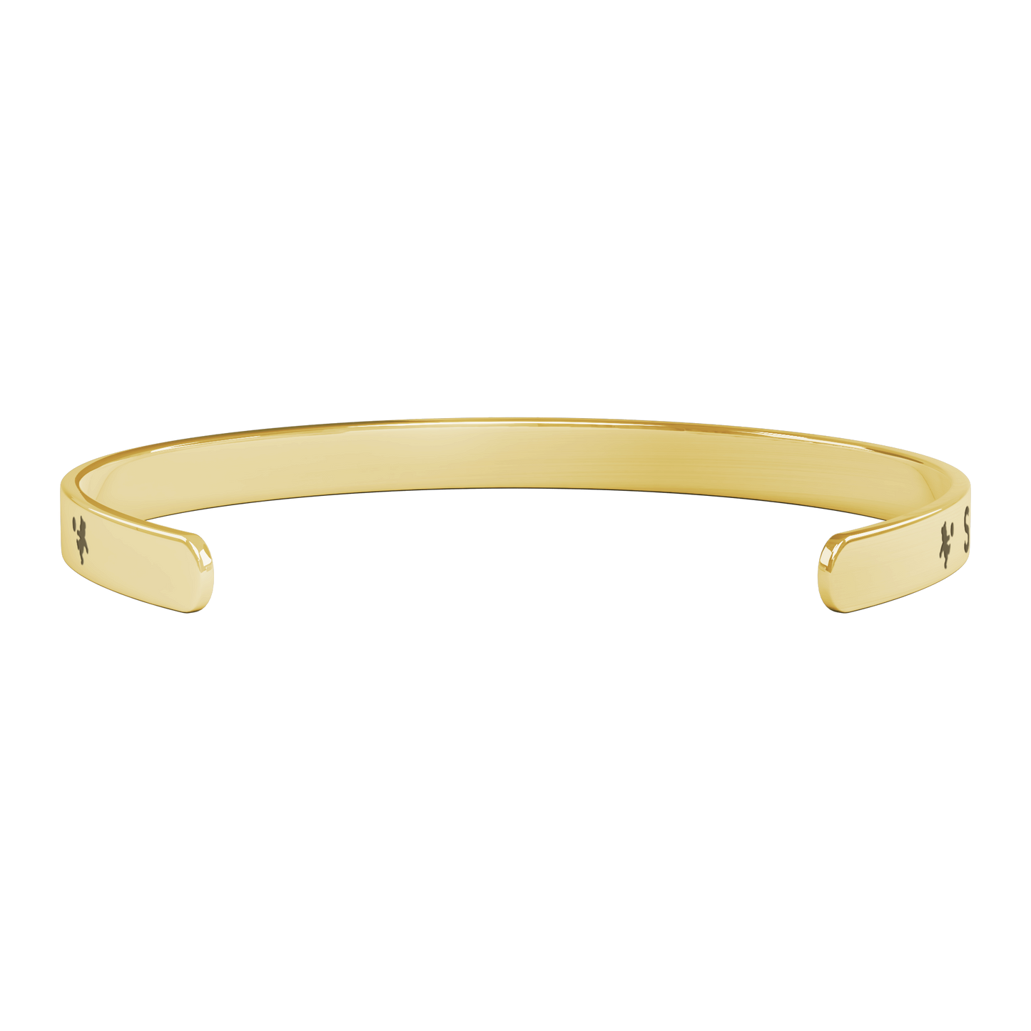 SAN_MARCOS_ACADEMY_BEARS_Gold_Transparent_04_Mockup.png