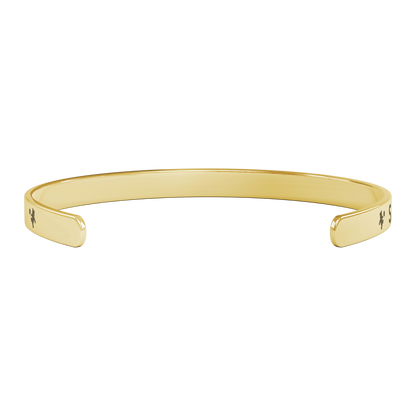 SAN_MARCOS_ACADEMY_BEARS_Gold_Transparent_04_Mockup.png
